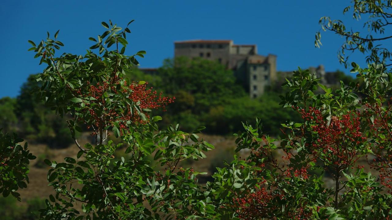 La Terrazza Sul Lago Turano Castel di Tora Ngoại thất bức ảnh
